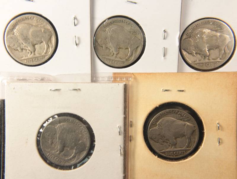 GROUP OF 5 BUFFALO NICKELS AS PICTURED