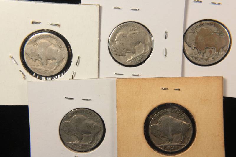 GROUP OF 5 BUFFALO NICKELS AS PICTURED