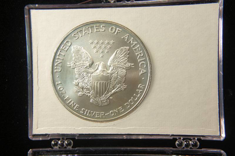 2004 US SILVER EAGLE .999 FINE SILVER IN PATRIOTIC HOLDER
