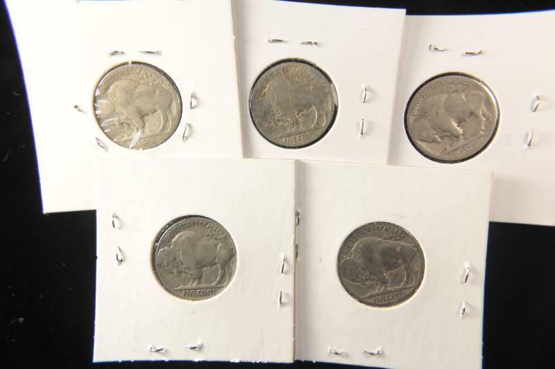 GROUP OF 5 BUFFALO NICKELS AS PICTURED