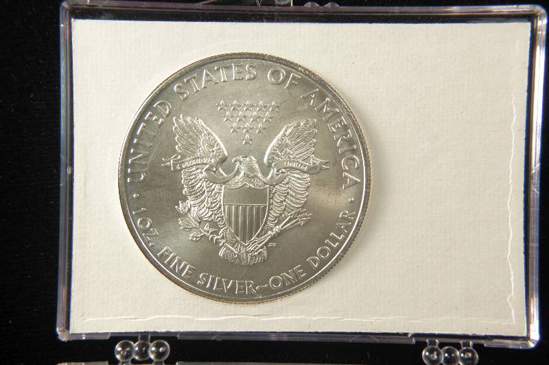 2010 US SILVER EAGLE .999 FINE SILVER IN PATRIOTIC HOLDER