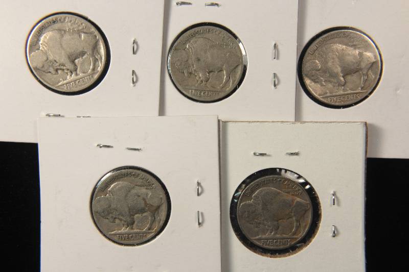 GROUP OF 5 BUFFALO NICKELS AS PICTURED