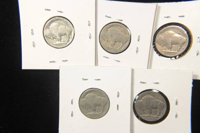 GROUP OF 5 BUFFALO NICKELS AS PICTURED
