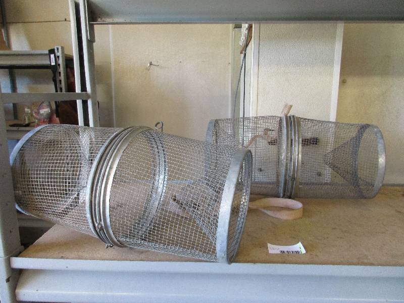Minnow traps