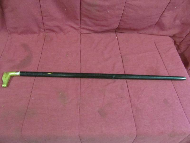 Walking Stick