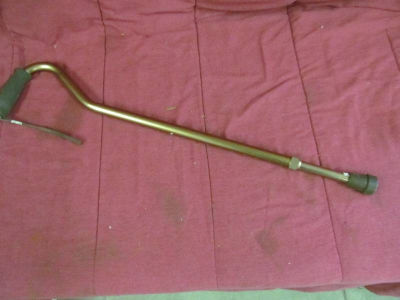 Walking Stick
