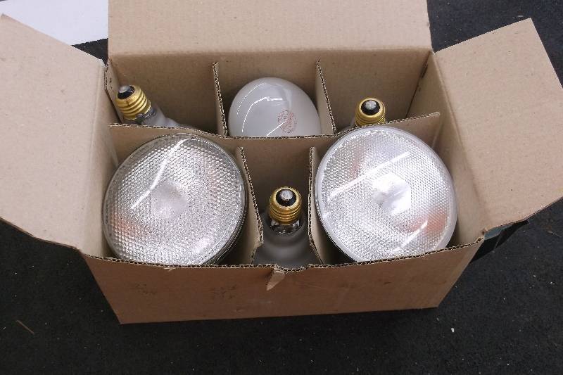 Lights