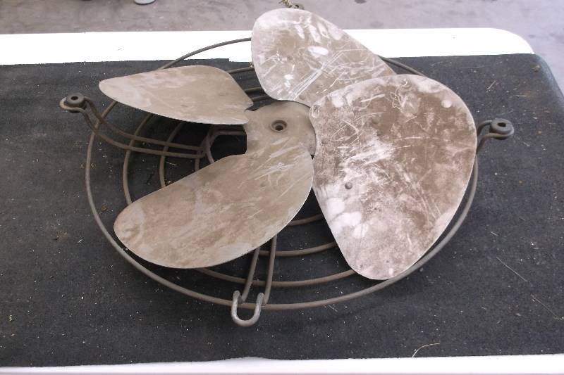 Fan