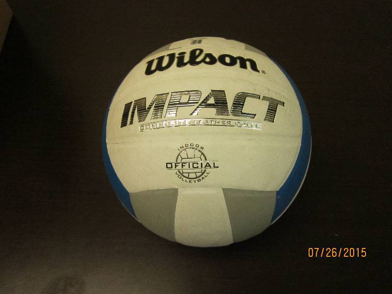 Wilson Impact Indoor Volleyball