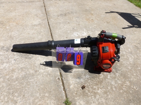SnS Auctions # 173 Mid Summer Sale