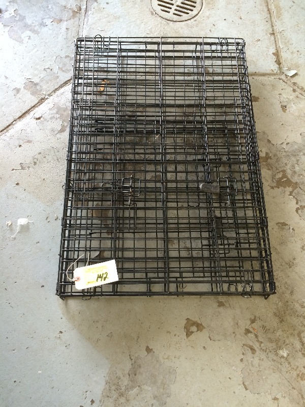 lot 142 image: Dog Kennel - this one collepses  size 36 l x 24 w x 28 h