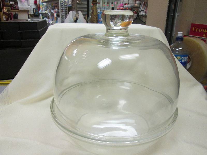 Glass Cassing Bowl Display...