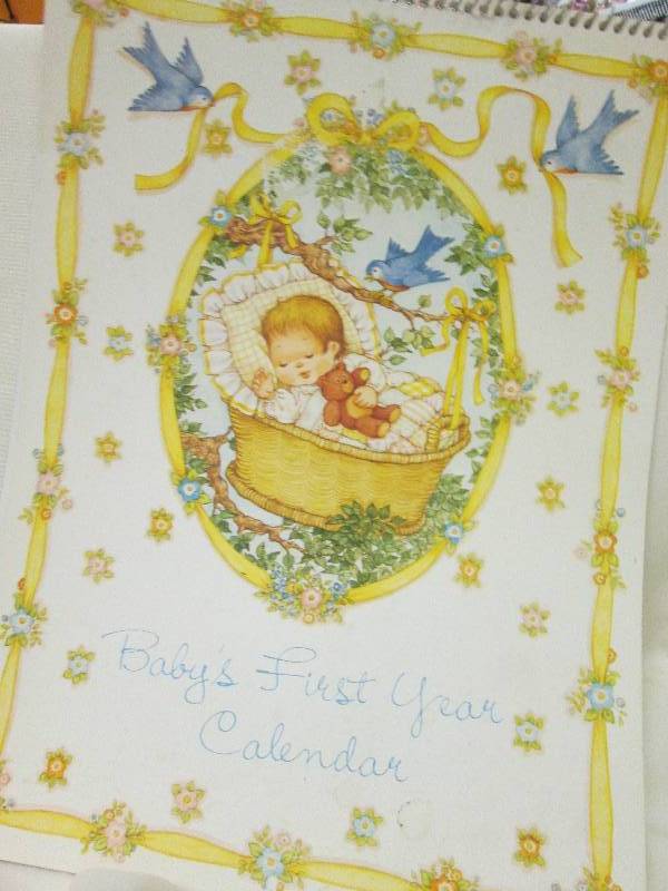 Babys First Year Write in Calander...