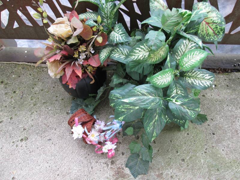 Silk plants...