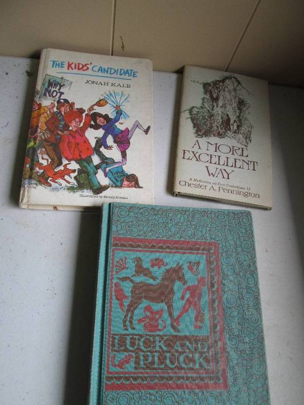 Vintage books, The Kids Candidate,...