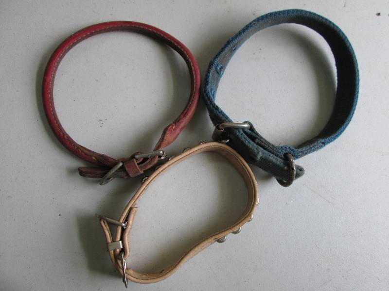 3 dog collars, from medium to large...