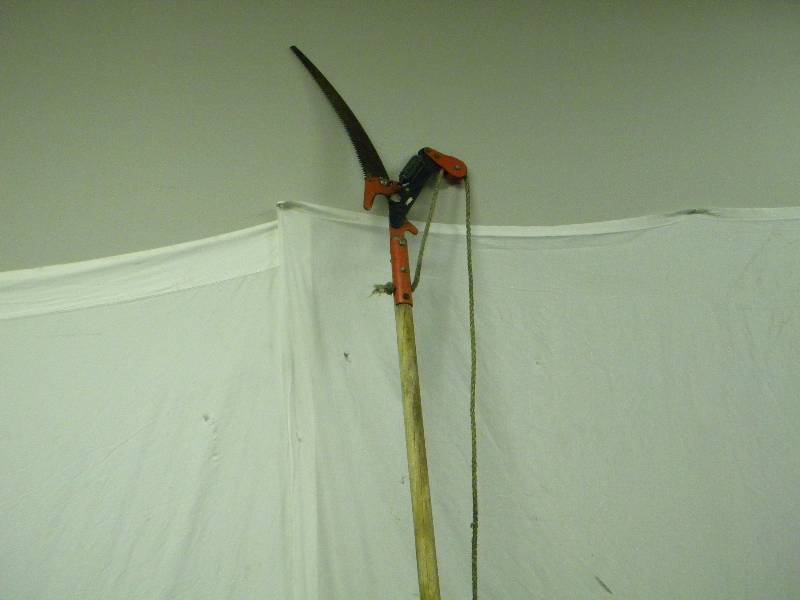 lot 113 image: Tree Saw