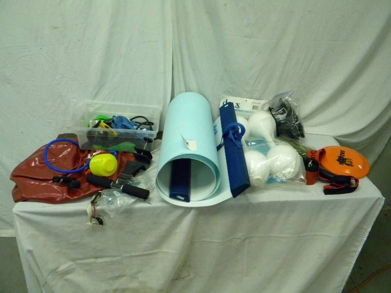 lot 246 image: Excercise Lot