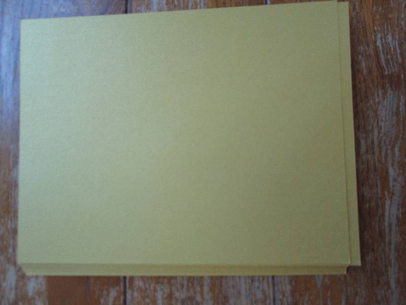 lot of pyrite yellow cardstock ...