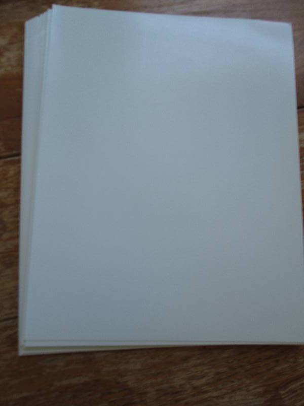 lot of white lizard scrapbook paper...