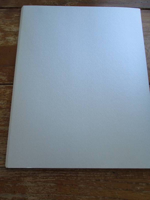 lot of white alligator skin scrapbo...