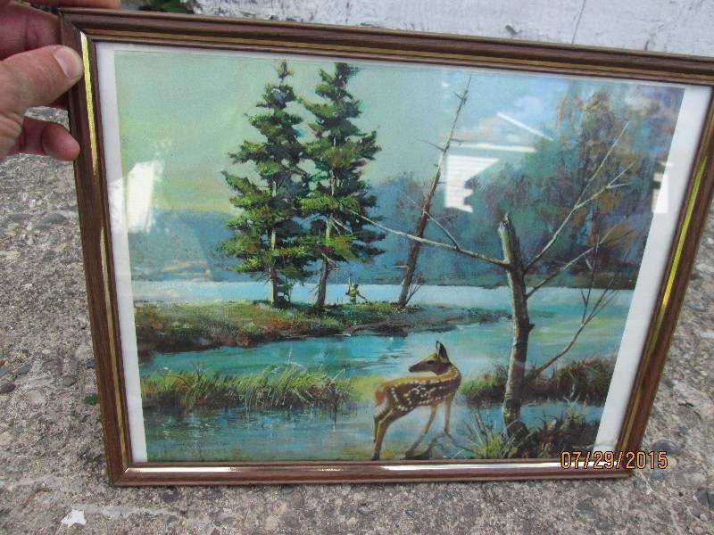 Framed nature print, 11 x 14...