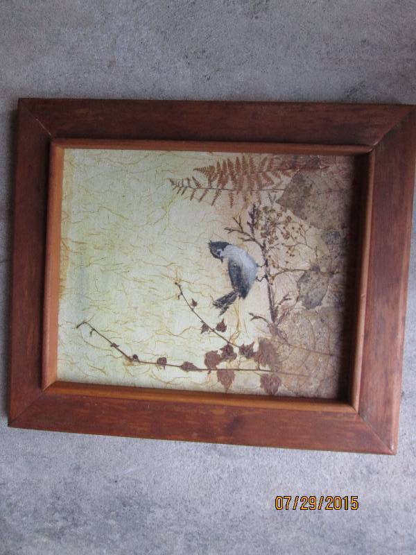 Framed nature print ...