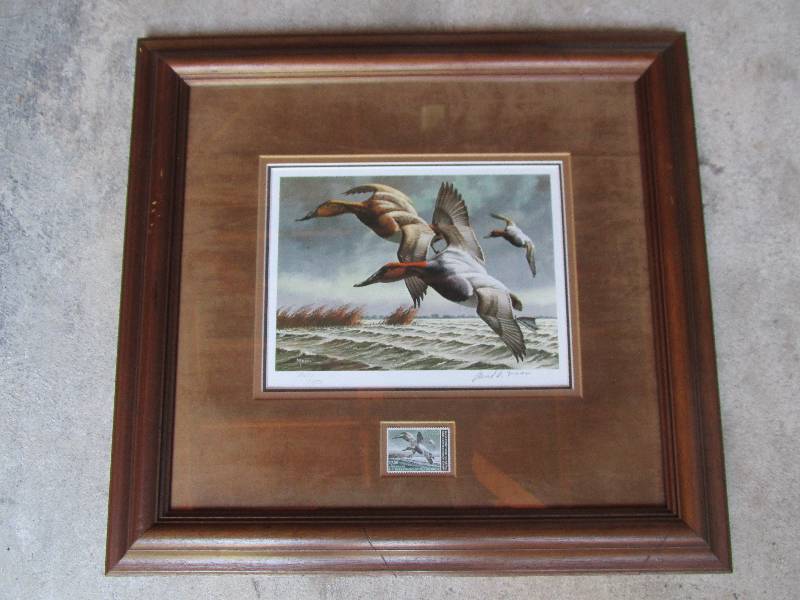 Framed duck stamp with signed numbe...