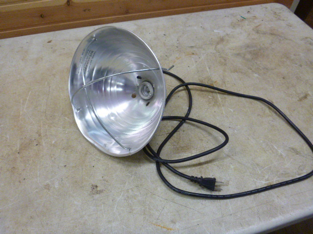 Heat Lamp