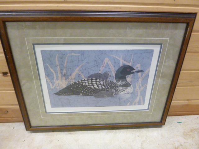 Framed Loon Print by Marnie Dahl