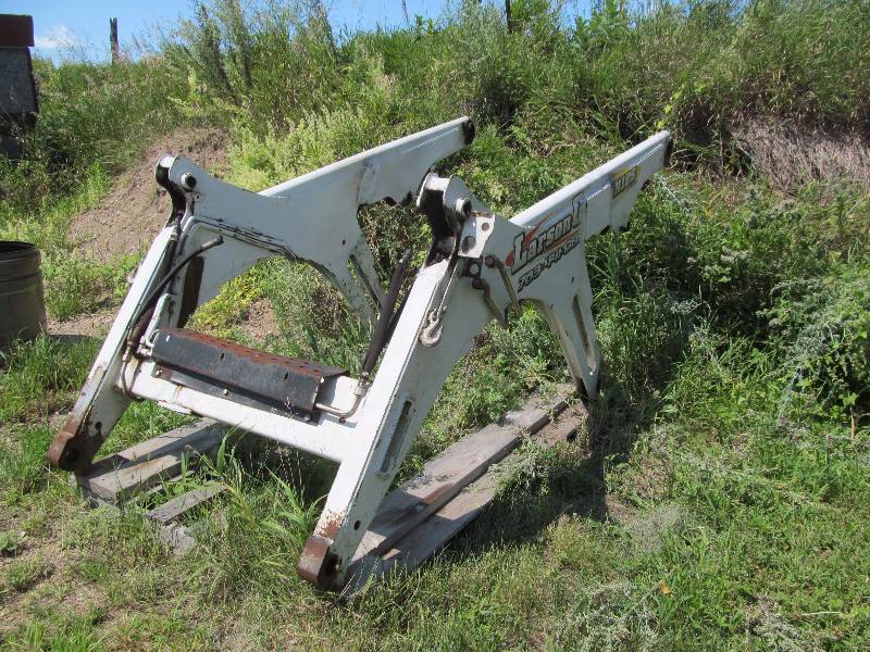 Bobcat