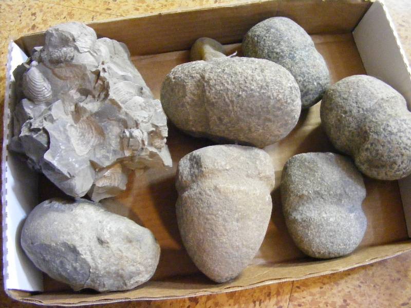 Fossil Rock and Indian Hammers