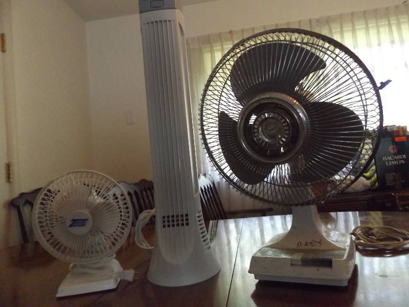 2 fans, 1 environizer