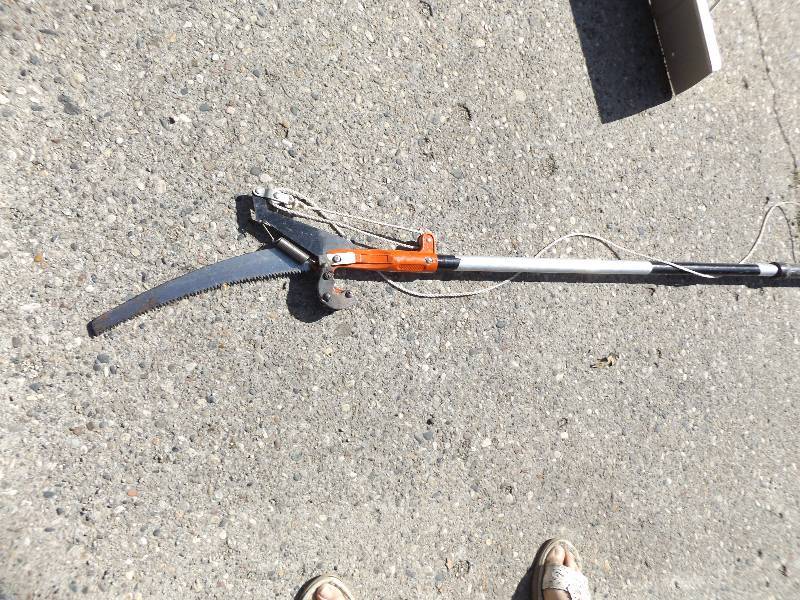 branch saw