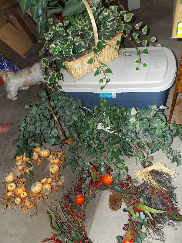 Large tote with various plant arrangements.