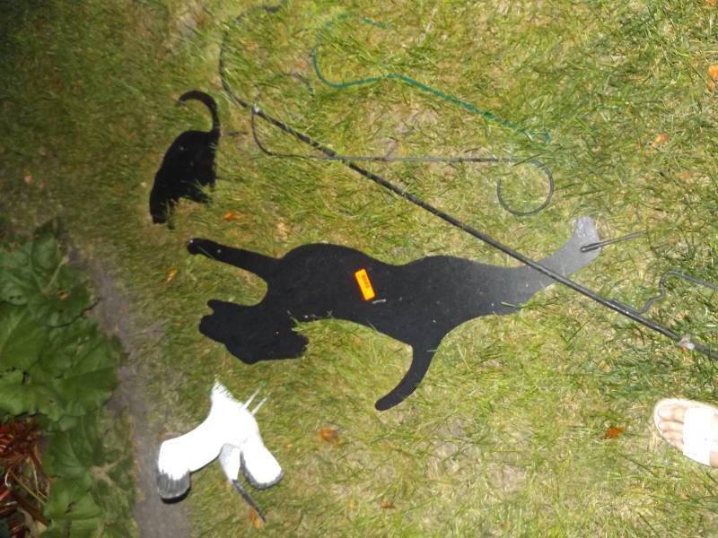 Yard ornaments (dog and cat shadows, concrete seagull, 4 shephards hooks)