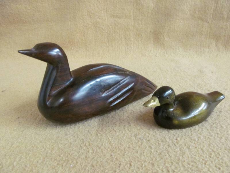 wood ducks