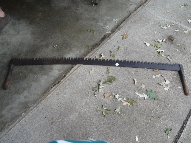 Log Saw