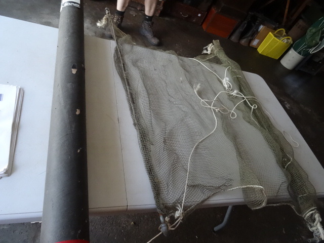 Minnow Net