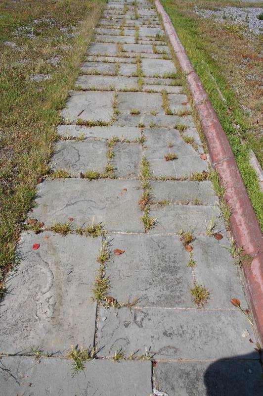 Decorative pavers