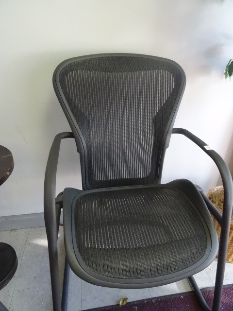 Metal Framed Side Chair