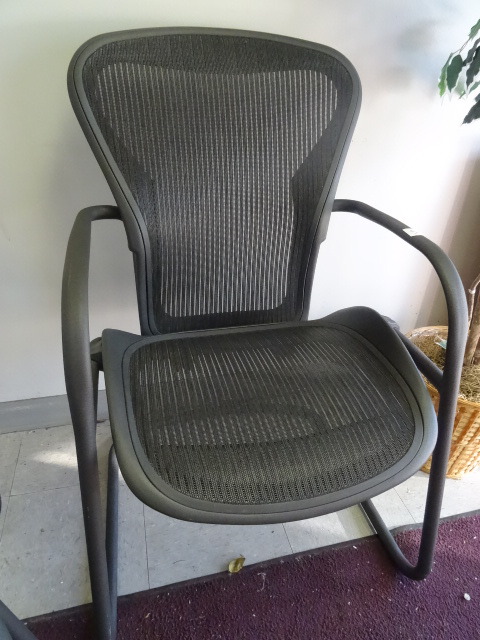 Metal Framed Side Chair