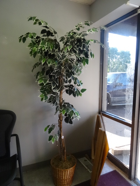 Artificial Tree
