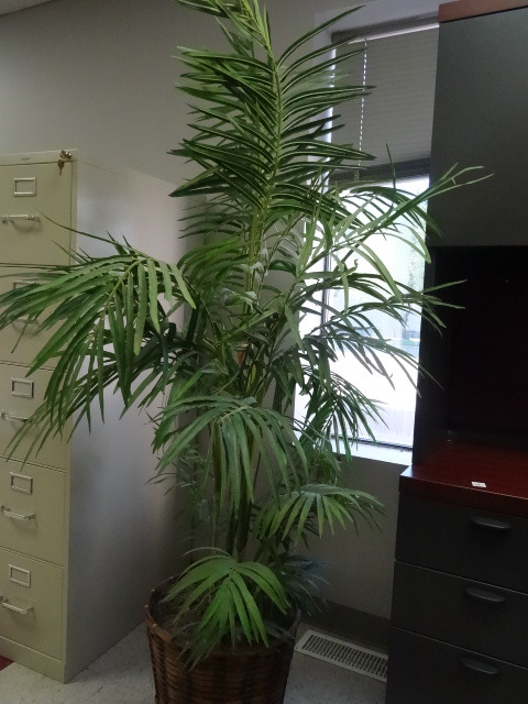 Artificial Plant