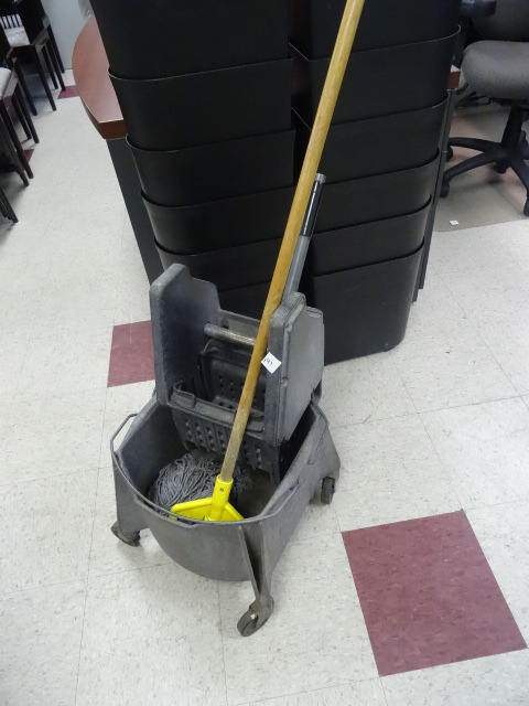 Mop Bucket and Wringer