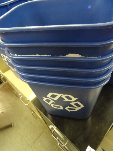Recycling Can