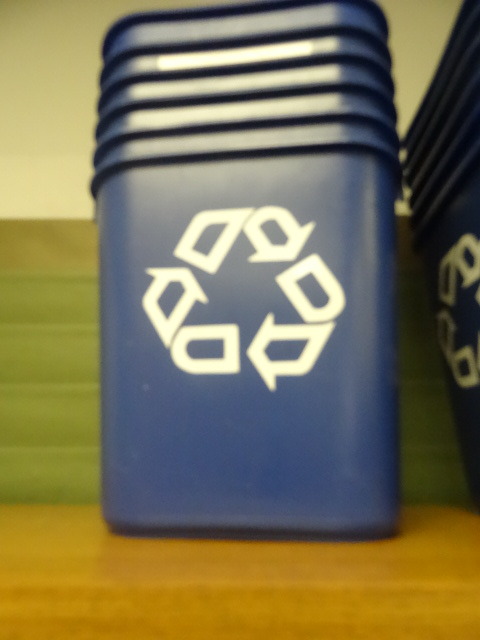 Recycling Can
