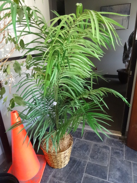 Artificial Plant