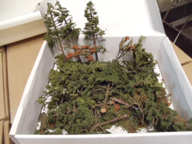 Misc. Trees and Roof Tops