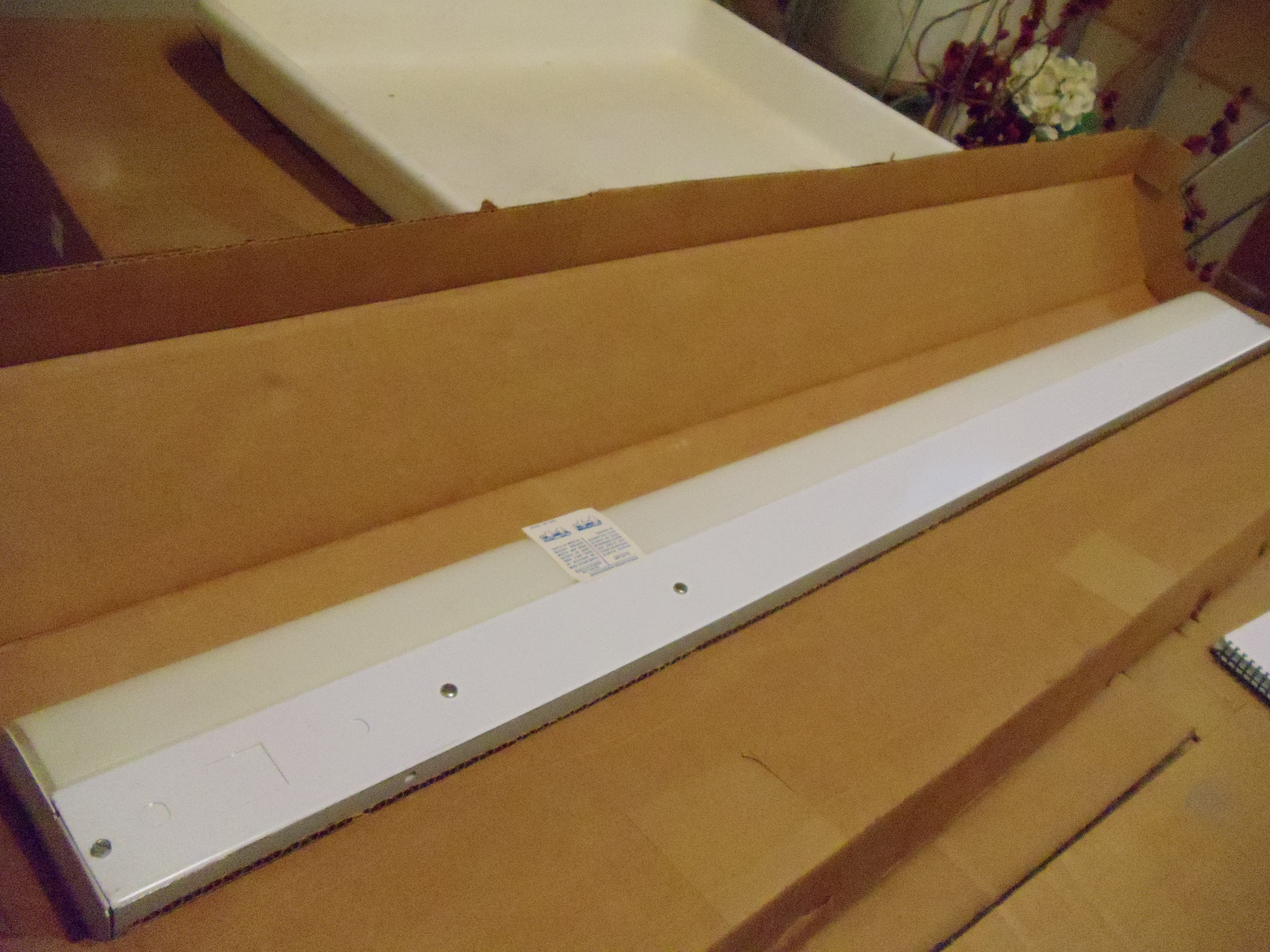 Progress Lighting Light Fixture